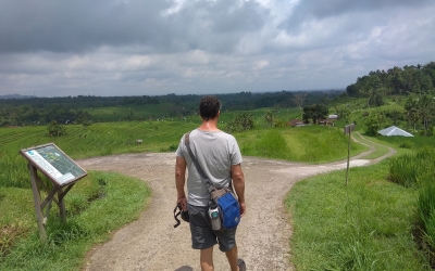 Jati luwih Rice Terrace